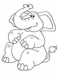 Elephant 16